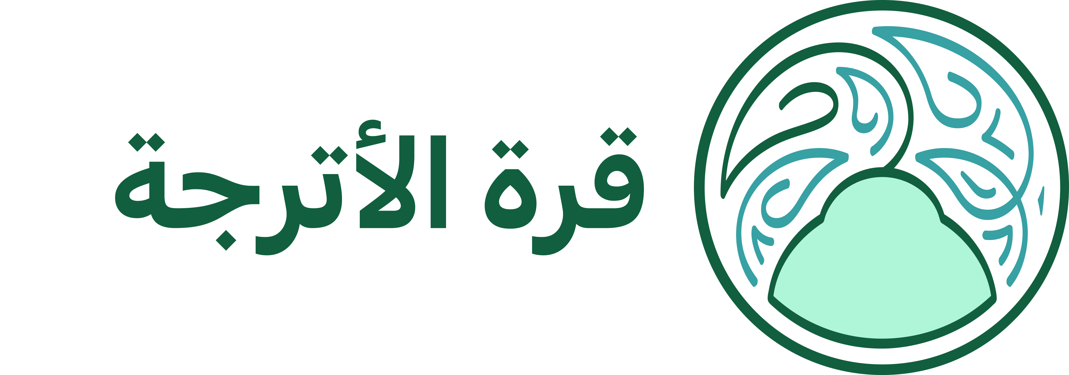 program image