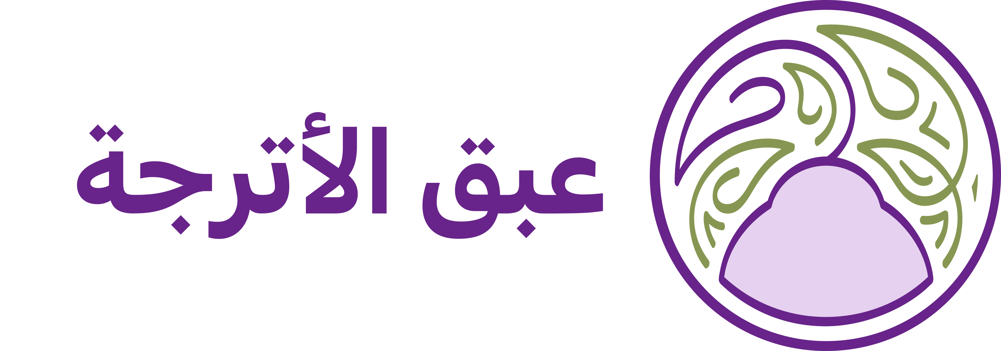 program image