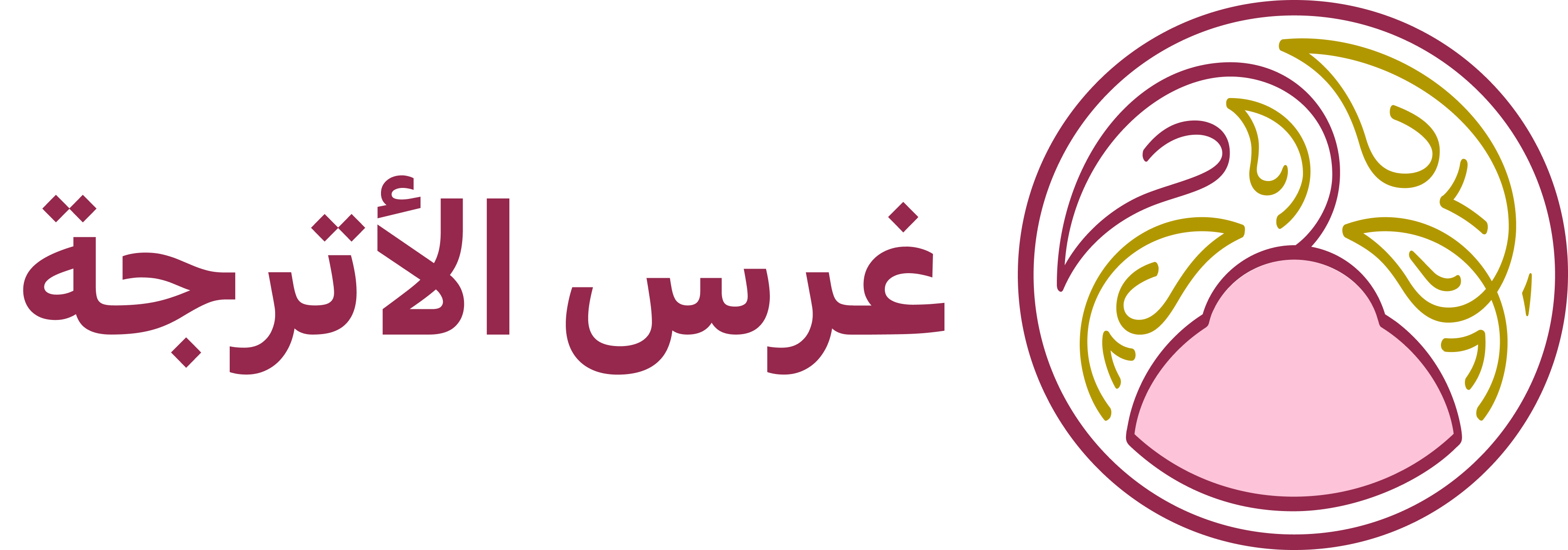 program image